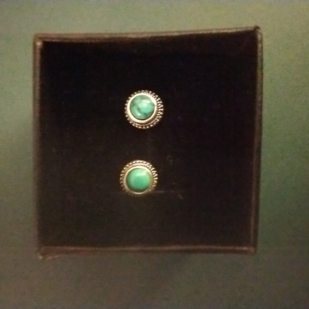 Torquoise Earrings